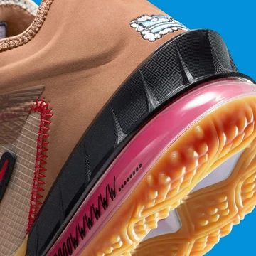 LeBron 18 Roadrunner x Wile E. Coyotes