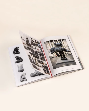 KAWS WHAT PARTY Phaidon Buch