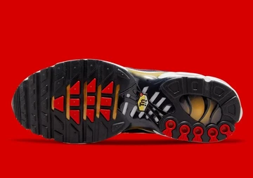 Nike Air Max Plus Obsidian