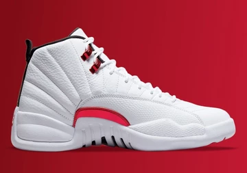 Air Jordan 12 Twist - official pictures and release date