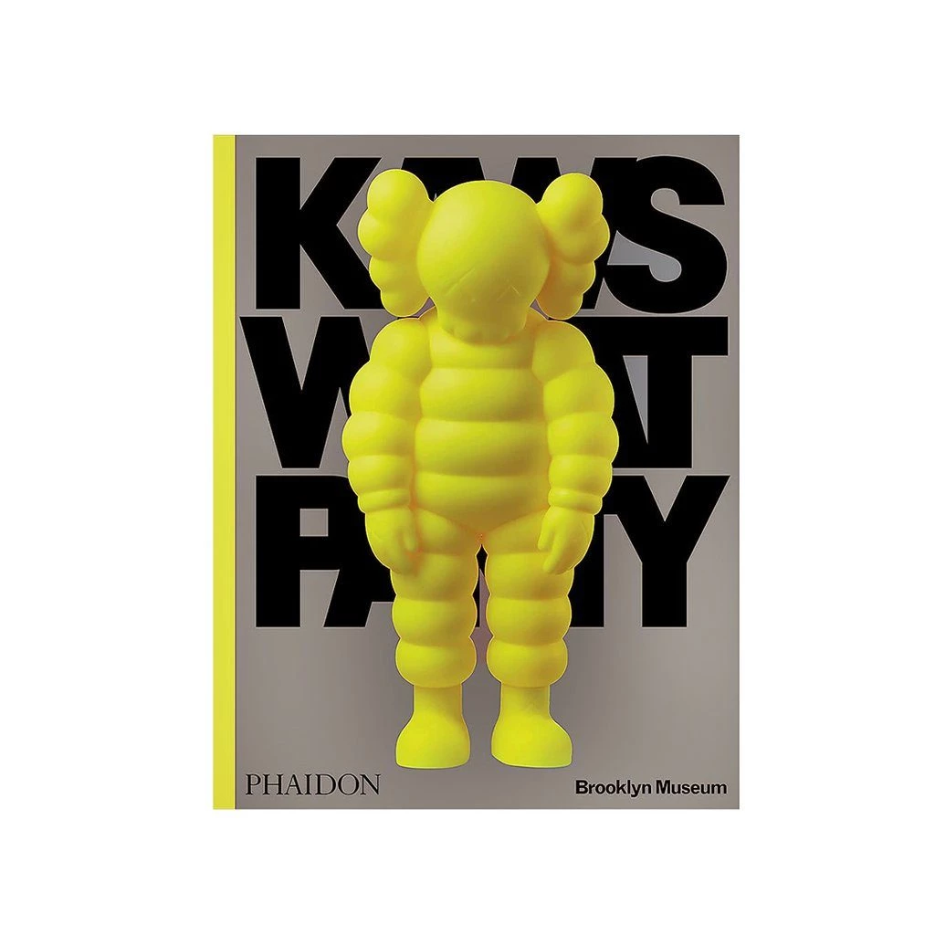KAWS WHAT PARTY Phaidon Book | Dead Stock