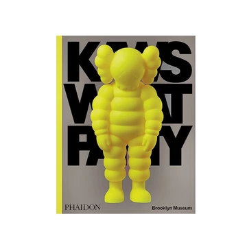 KAWS WHAT PARTY Phaidon Buch