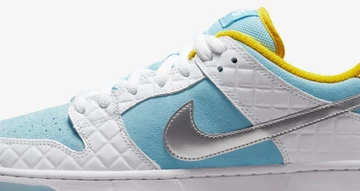 FTC Nike SB Dunk Low