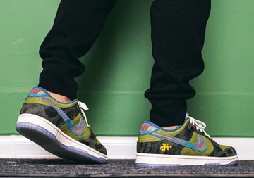 Nike Dunk Low Siempre Familia - on feet