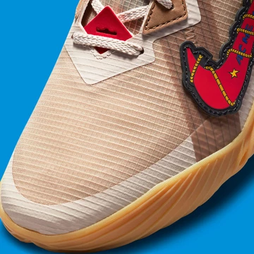 LeBron 18 Roadrunner x Wile E. Coyotes
