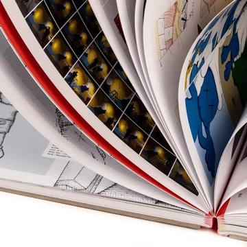 KAWS WHAT PARTY Phaidon Buch