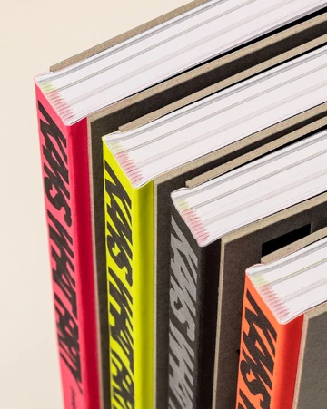 KAWS WHAT PARTY Phaidon Buch