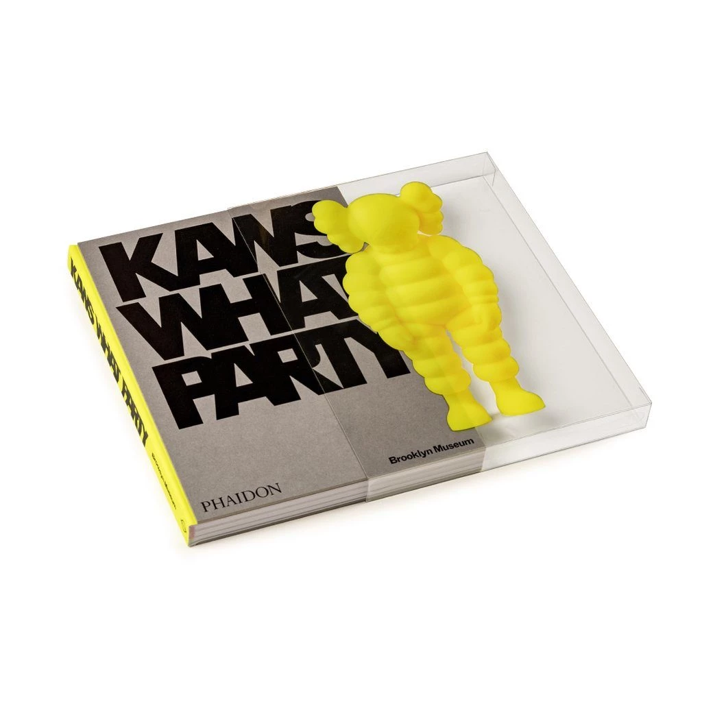 kaws-what-party-phaidon-buch-