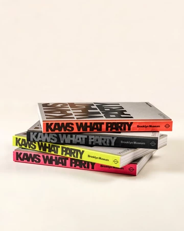 KAWS WHAT PARTY Phaidon Buch