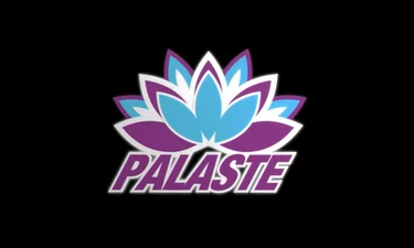 Palace x adidas Palaste Apparel