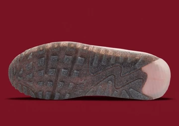 Air Max 90 Terrascape Pomegranate