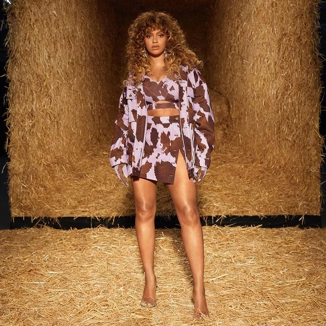 adidas x Ivy Park Rodeo Apparel Dead Stock