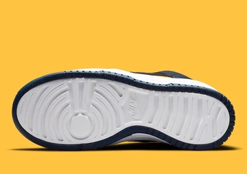 Nike Dunk High Rebel Michigan