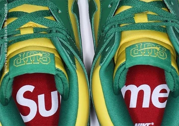Supreme x Nike SB Dunk Brazil - LEAK