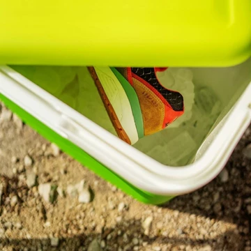 Bisso x Max Loewe x KangaROOS Rainbow Trout