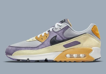 Air Max 90 Court Purple