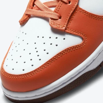 Nike Dunk Low Reverse Mesa