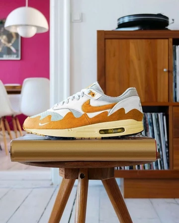 Patta x Nike Air Max 1