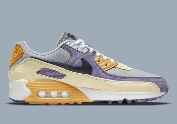 Air Max 90 Court Purple