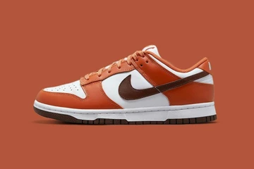 Nike Dunk Low Reverse Mesa
