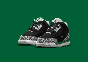 Air Jordan 3 Pine Green