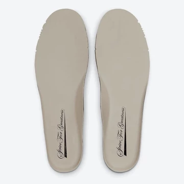 Nike Air Force 1 Strive for Greatness