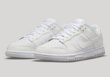 Nike Dunk Low Move to Zero White
