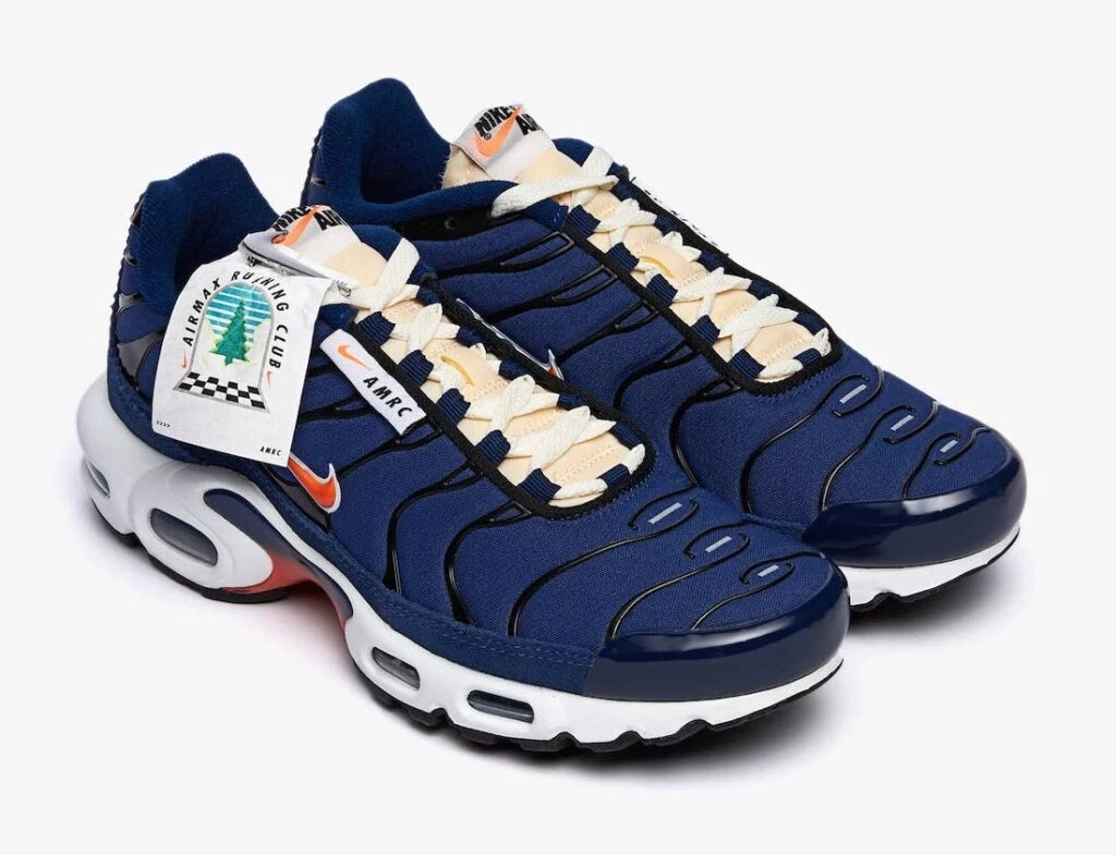 Nike air max plus for running best sale