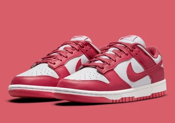 Nike Dunk Low Archaeo Pink