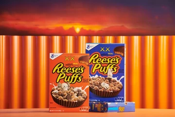 Kaws x Reese's Puffs