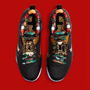 Nike LeBron 9 Watch the Throne