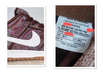 Nike SB Dunk Paisley