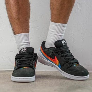 Nike SB Dunk Polaroid