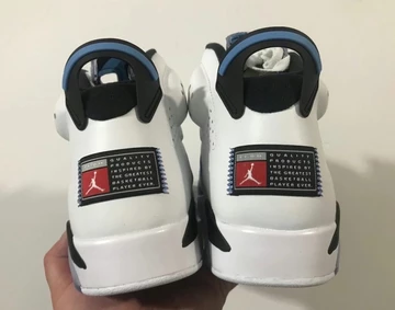 Jordan 6 UNC