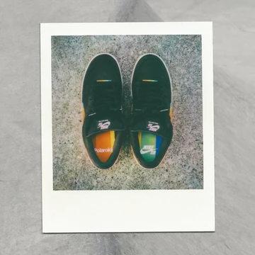 Nike SB Dunk Polaroid