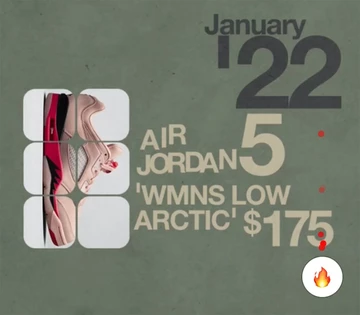 Jordan 5 Low Arctic Orange