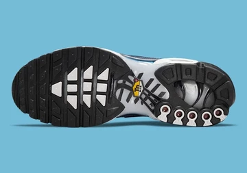 Nike Air Max Plus Blue Camo