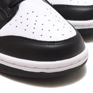 Nike Dunk Low Paisley