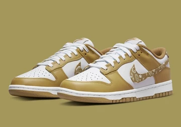 Nike Dunk Low Barley Paisley
