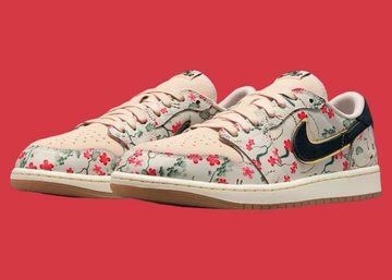 Rui Hachimura x Jordan 1 Low Oatmeal Paar von der Seite