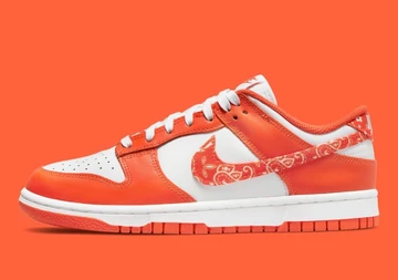 Nike Dunk Low Orange Paisley