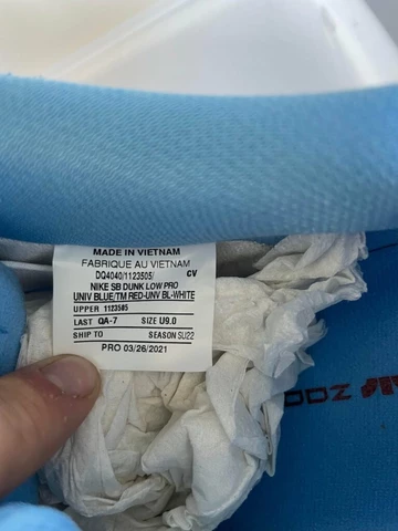 Erstes Sample vom Nike SB Dunk Phillies aufgetaucht