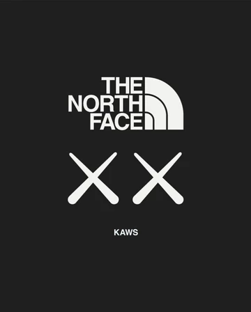 KAWS The North Face Kollektion