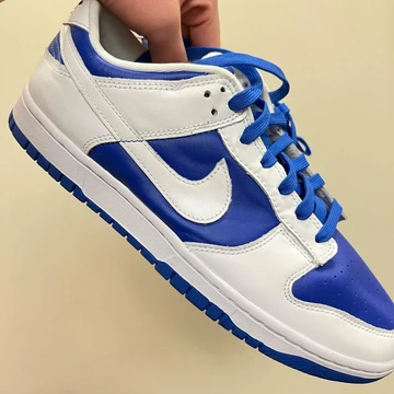 Nike Dunk Reverse Kentucky - first pictures