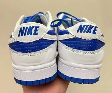 Nike Dunk Reverse Kentucky Deadstock3