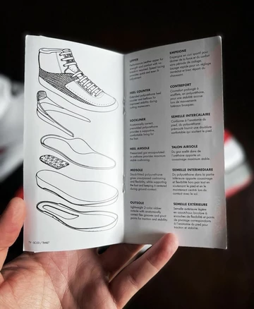 Air Jordan 2 Chicago