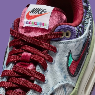 Concepts Air Max 1 Mellow