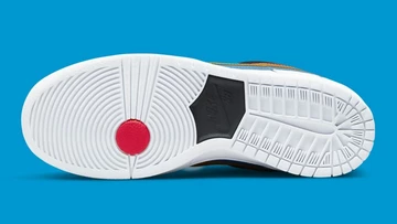 Polaroid Nike SB Dunk Low