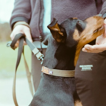 Trekk by Asphaltgold