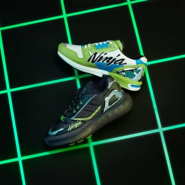 Kawasaki Ninja adidas ZX 8000